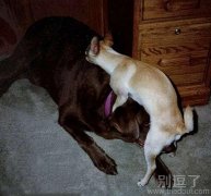 这个算什么，这是极大的侮辱- -