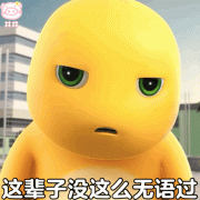 表情包 肥龙
