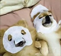 面膜都遮不住你的脸 面膜都遮不住你的脸