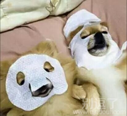 面膜都遮不住你的脸 面膜都遮不住你的脸