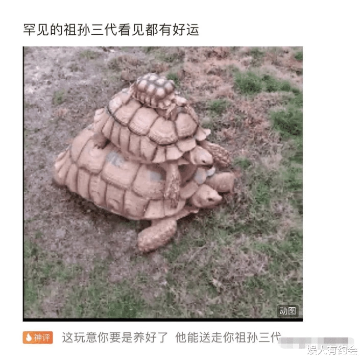 神回复:女同学故意转头和别人聊天,吸引我的注意力,我该咋办? 神回复:女同学故意转头和别人聊天,吸引我的注意力,我该咋办?