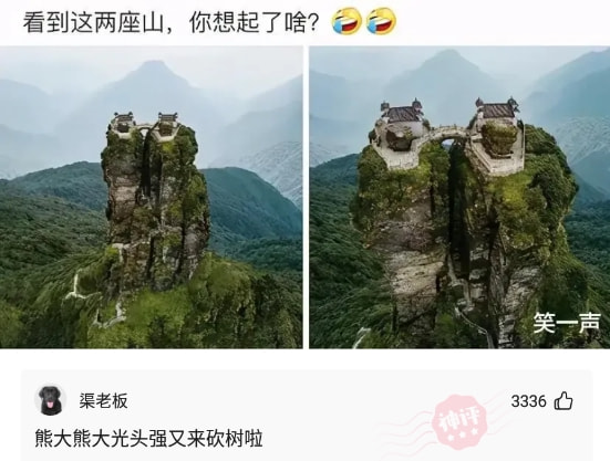 神回复:什么一棵草,那是副校长! 神回复:什么一棵草,那是副校长!