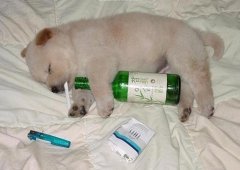 又喝又抽的 又喝又抽的