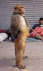 领导范十足啊 领导范十足啊