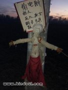 这也太毒了吧！