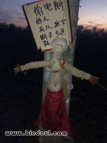这也太毒了吧! 这也太毒了吧!