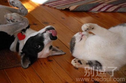 和你一起糗,不要拍 和你一起糗,不要拍