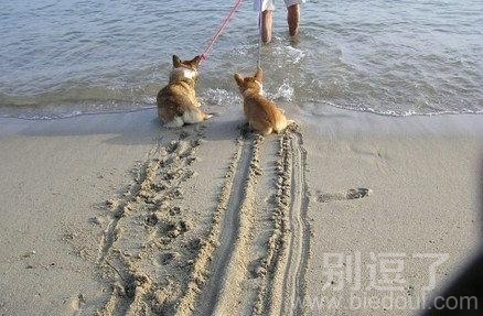 点刹和抱死的区别