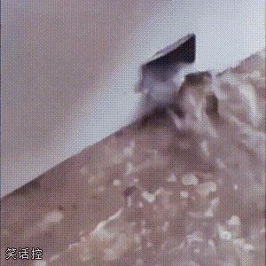 原来小青蛙也有烦恼