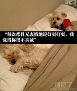 你终究还是不爱我了