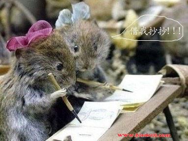 借我抄抄作业本i！