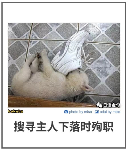 轻松一刻:这里是缅甸北部,你噶腰子的地方 轻松一刻:这里是缅甸北部,你噶腰子的地方