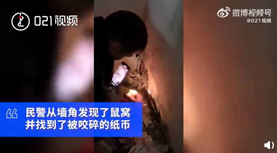 轻松一刻:这里是缅甸北部,你噶腰子的地方 轻松一刻:这里是缅甸北部,你噶腰子的地方
