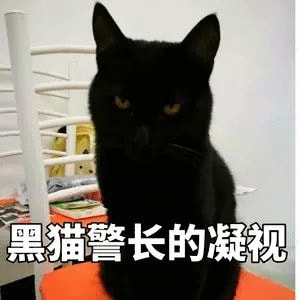 轻松一刻:这里是缅甸北部,你噶腰子的地方 轻松一刻:这里是缅甸北部,你噶腰子的地方