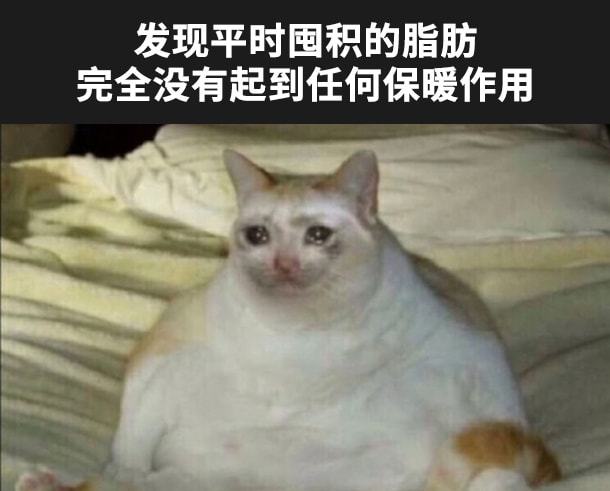 轻松一刻:这里是缅甸北部,你噶腰子的地方 轻松一刻:这里是缅甸北部,你噶腰子的地方