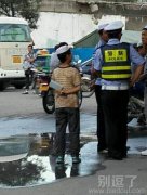 一个胆大的熊孩子。。