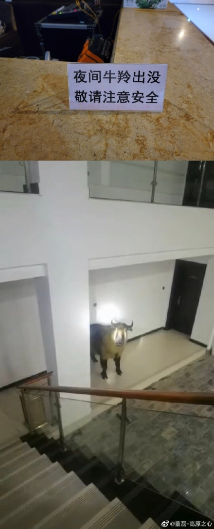 四十岁的叔叔找8岁的小朋友网恋,被家长当场抓包!! 四十岁的叔叔找8岁的小朋友网恋,被家长当场抓包!!