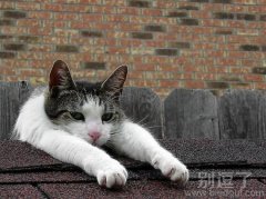 我上不去了。谁帮我一下。