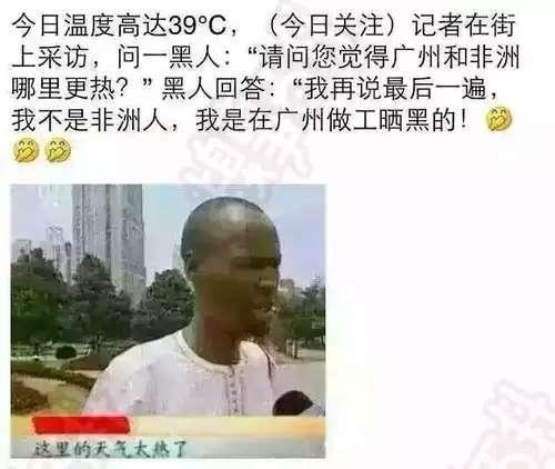 妹妹想养小动物。