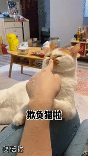 想刀一个人的眼神是藏不住的