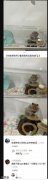 这怎么猴里猴气
