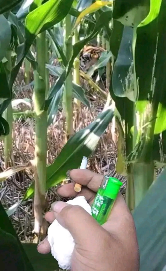 轻松一刻:色字头上一把刀,不怕自产怕自销! 轻松一刻:色字头上一把刀,不怕自产怕自销!