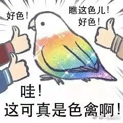 轻松一刻：色字头上一把刀，不怕自产怕自销！