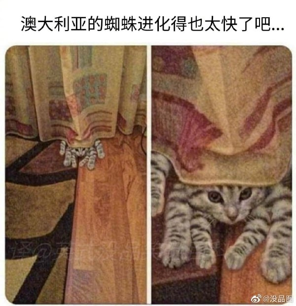 轻松一刻:色字头上一把刀,不怕自产怕自销! 轻松一刻:色字头上一把刀,不怕自产怕自销!