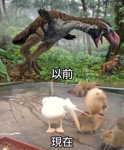 轻松一刻:色字头上一把刀,不怕自产怕自销! 轻松一刻:色字头上一把刀,不怕自产怕自销!
