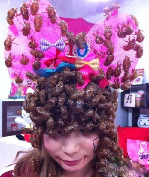 安徽蝉蛹成美食 村民捕抓一晚赚数百元 安徽蝉蛹成美食 村民捕抓一晚赚数百元