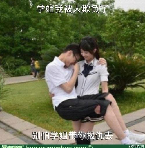 学姐我被人欺负了