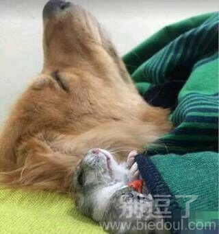 一家三口好幸福啊 一家三口好幸福啊