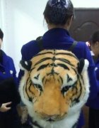 搞笑奇趣图片6张,民间高手。