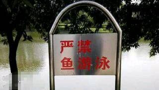 原来我们学校还有这么个规定 原来我们学校还有这么个规定