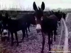 这就是男人喜欢的类型！