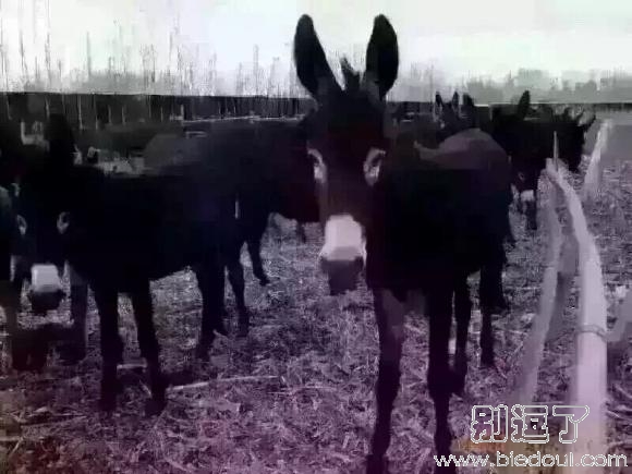 这就是男人喜欢的类型！
