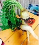 这萝卜长得好妖娆