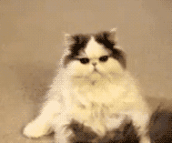 坐办公室的哥哥姐姐,跟我活动一下脖纸 坐办公室的哥哥姐姐,跟我活动一下脖纸