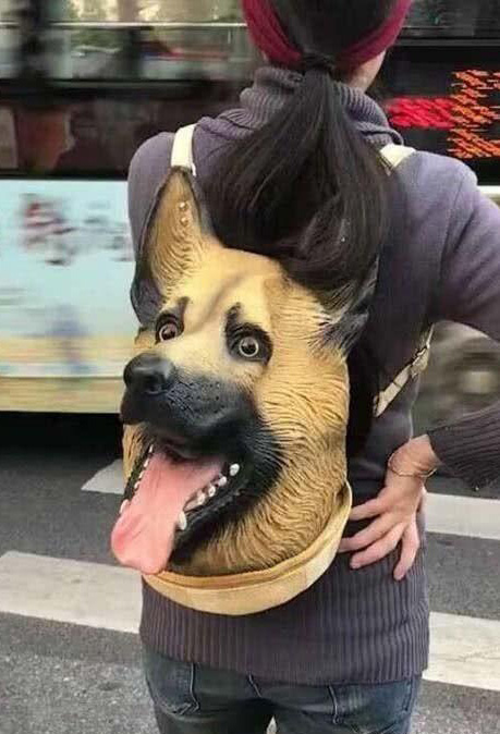 远看背了一只狗，近看这只是一个背包
