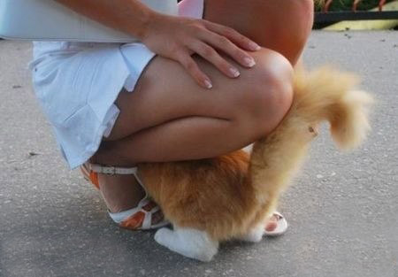 拿内涵说事的趣味趣图