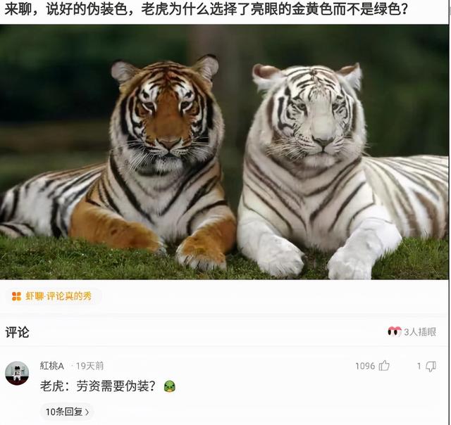 神回复:有些农民整天游手好闲但从不缺钱,他们的钱是从哪里来的 神回复:有些农民整天游手好闲但从不缺钱,他们的钱是从哪里来的