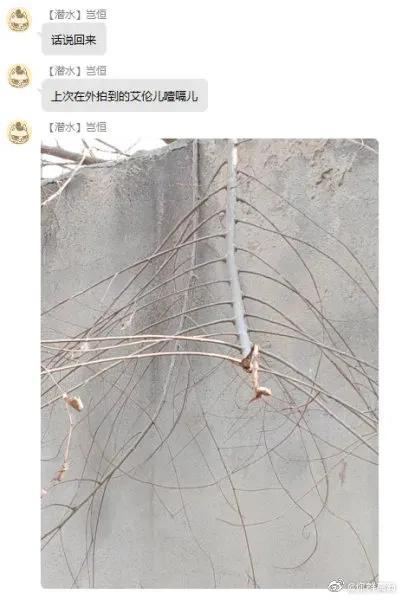 如果一个人周五还不开心 如果一个人周五还不开心