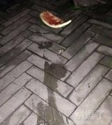 骚年估计伤得不轻 骚年估计伤得不轻