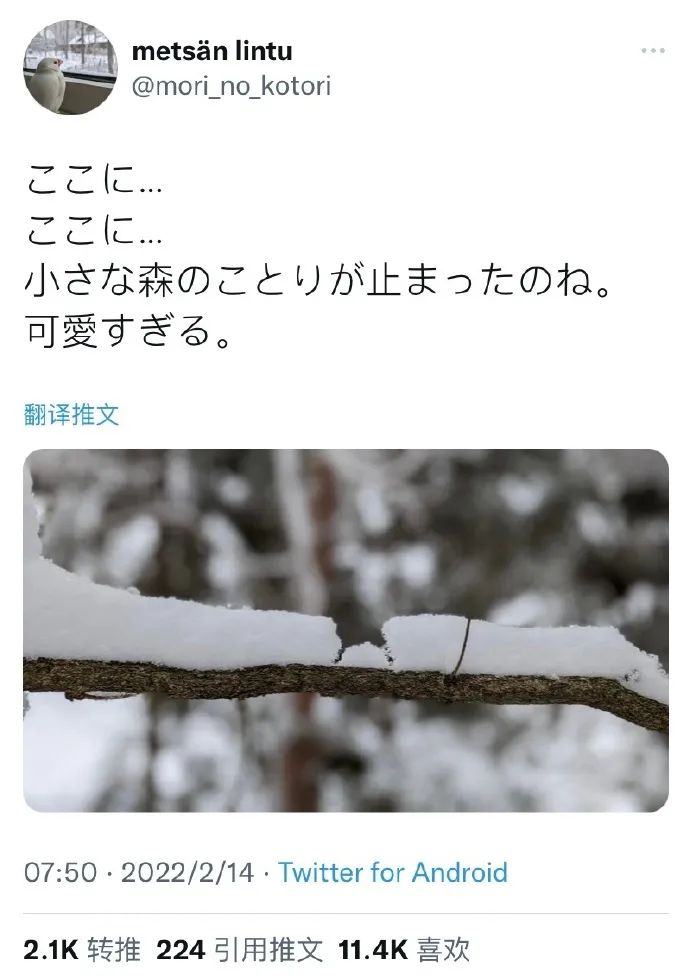 神图:这才是真正的老司机 神图:这才是真正的老司机