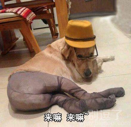 来呀,造作呀。。 来呀,造作呀。。