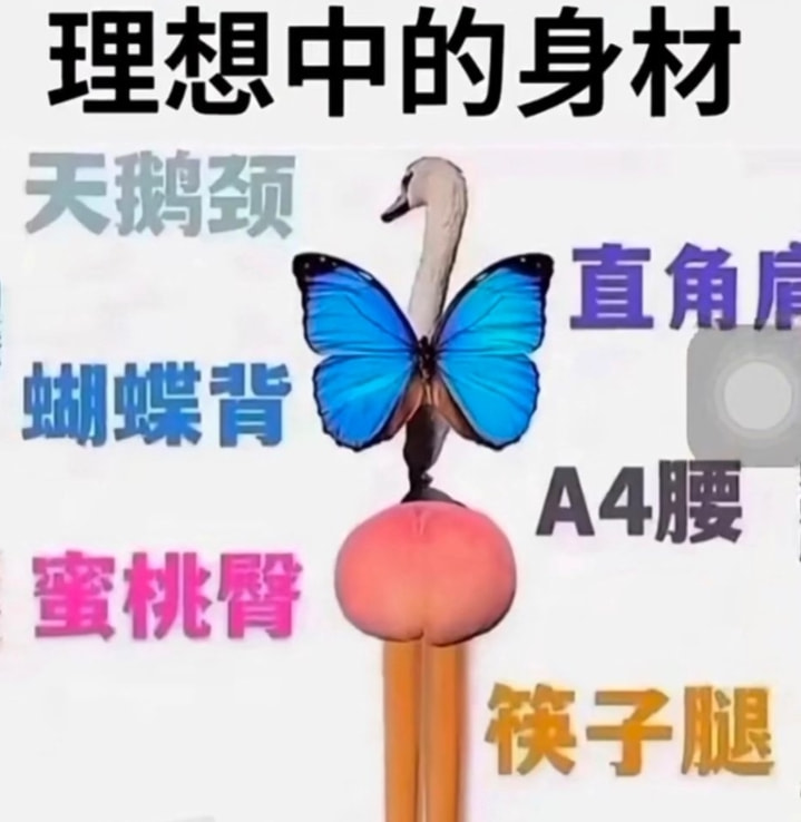 轻松一刻:真男人,从不口嗨 轻松一刻:真男人,从不口嗨
