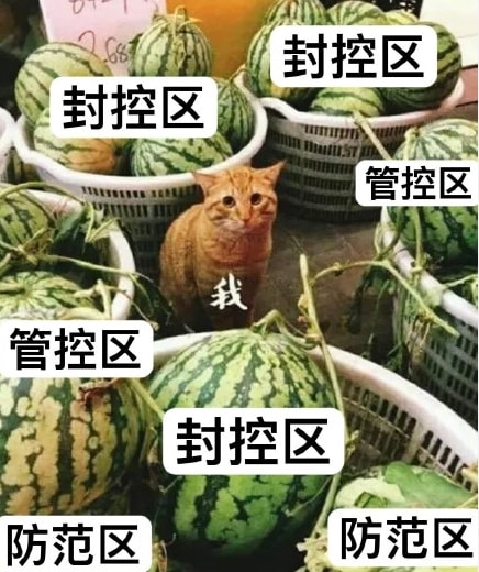 轻松一刻:真男人,从不口嗨 轻松一刻:真男人,从不口嗨