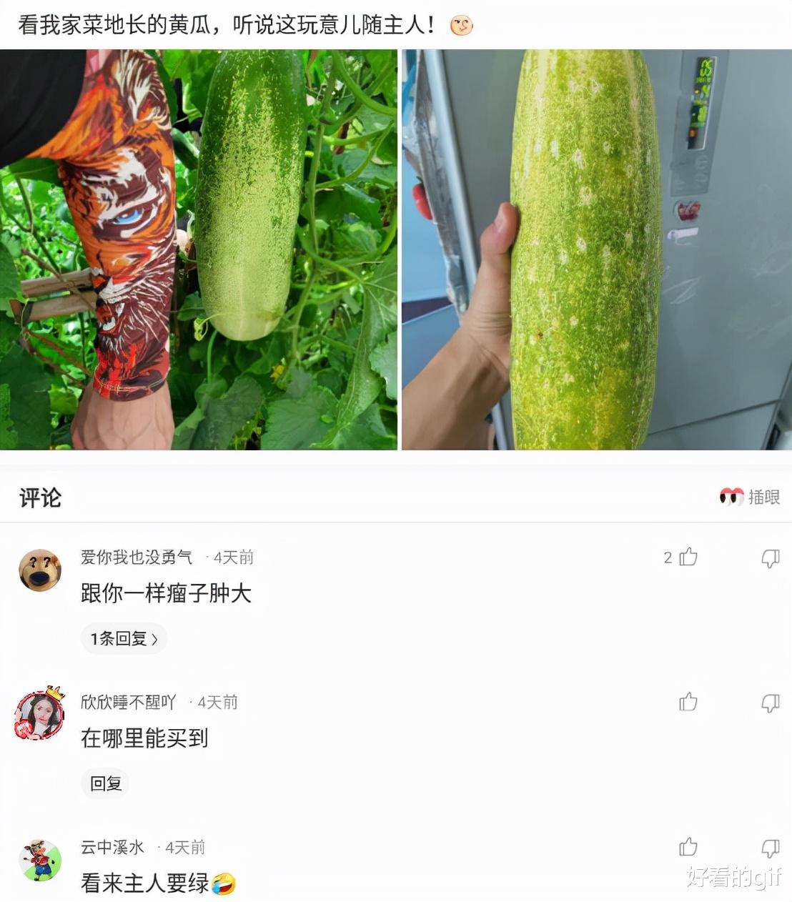 神回复:你这辈子最大的遗憾是什么? 神回复:你这辈子最大的遗憾是什么?