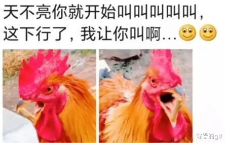 神回复：你这辈子最大的遗憾是什么？