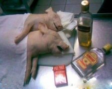 一夜激情之后，这场面真的不可收拾